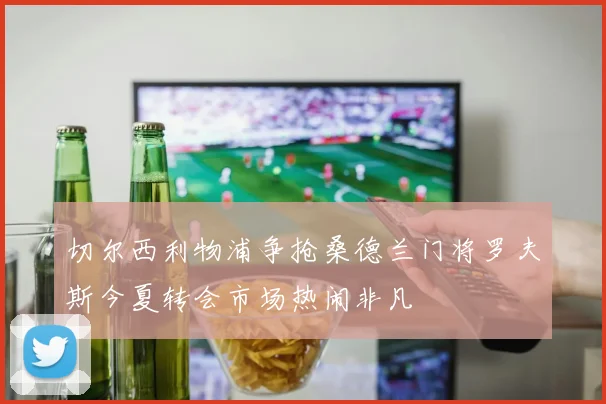 切尔西利物浦争抢桑德兰门将罗夫斯今夏转会市场热闹非凡