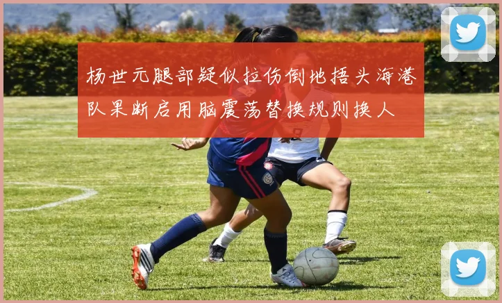 杨世元腿部疑似拉伤倒地捂头海港队果断启用脑震荡替换规则换人